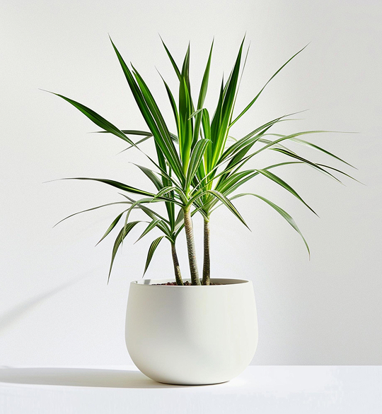 Home product 05
